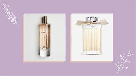 chloe perfume dupes|zara rose gourmand perfume dupe.